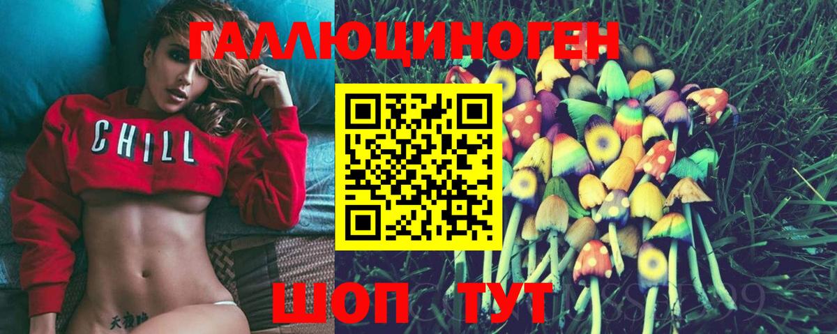 Псилоцибиновые грибы Psilocybe Славянск-на-Кубани
