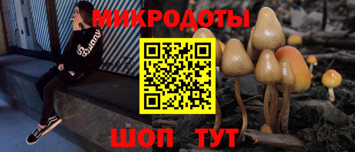 Славянск-на-Кубани  что такое наркотик  Галлюциногенные грибы Magic Shrooms  Вход с VPN  Псилоцибиновые грибы Psilocybe 